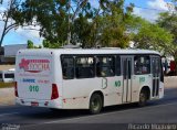 Baiano Transportes 010 na cidade de Caruaru, Pernambuco, Brasil, por Ricardo Silva Monteiro. Número da foto: #4246435.