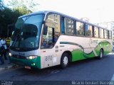 Turin Transportes 870 na cidade de Conselheiro Lafaiete, Minas Gerais, Brasil, por Nicácio Goulart Macedo. Número da foto: #4311453.