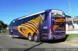 Canarinho Turismo 2016 na cidade de Tramandaí, Rio Grande do Sul, Brasil, por Daniel Espindola Dorneles. Número da foto: #4312293.