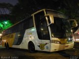 Empresa Gontijo de Transportes 12295 na cidade de São Paulo, São Paulo, Brasil, por Manoel Junior. Número da foto: #4313639.
