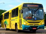 Viação Garcia 7439 na cidade de Maringá, Paraná, Brasil, por Robson Alves. Número da foto: #4316007.