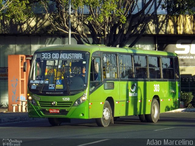 Transvia Transporte Coletivo 1250 na cidade de Contagem, Minas Gerais, Brasil, por Adão Raimundo Marcelino. ID da foto: 4319308.