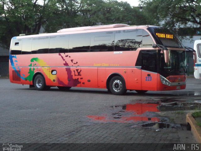 Chilebus Internacional 223 na cidade de São Paulo, São Paulo, Brasil, por Alexandre Rodrigo. ID da foto: 4320699.