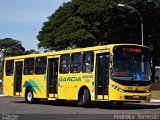 Viação Garcia 7109 na cidade de Rolândia, Paraná, Brasil, por Pedroka Ternoski. Número da foto: #4320704.