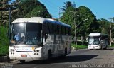 Falcão Real 1060 na cidade de Salvador, Bahia, Brasil, por Mairan Santos. Número da foto: #:id.