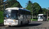 Falcão Real 1060 na cidade de Salvador, Bahia, Brasil, por Mairan Santos. ID da foto: :id.