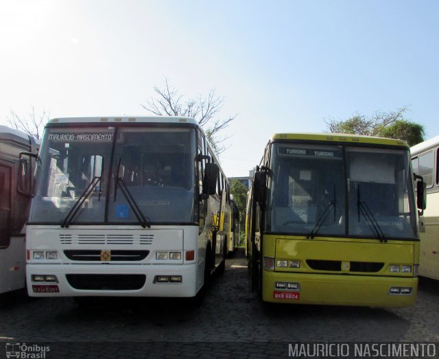 Empresa Gontijo de Transportes 3130 na cidade de Belo Horizonte, Minas Gerais, Brasil, por Maurício Nascimento. Número da foto: #4325406.