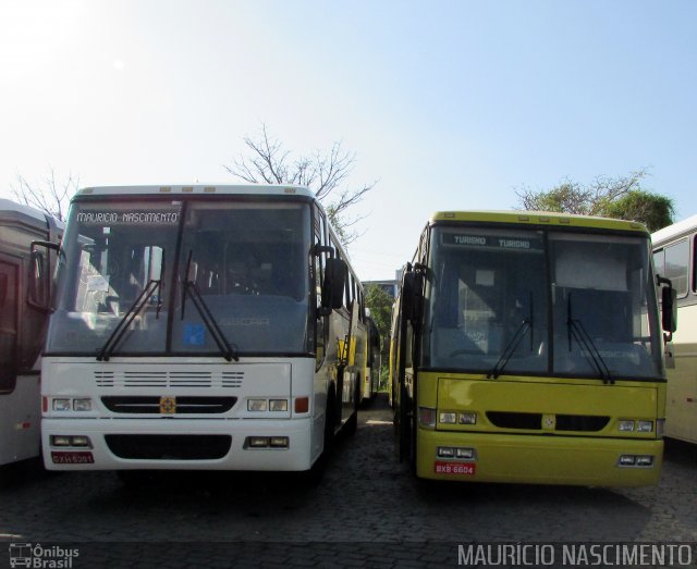 Empresa Gontijo de Transportes 3130 na cidade de Belo Horizonte, Minas Gerais, Brasil, por Maurício Nascimento. ID da foto: 4325406.