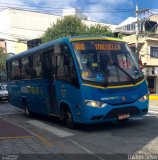 FAOL - Friburgo Auto Ônibus 451 na cidade de Nova Friburgo, Rio de Janeiro, Brasil, por Thiago Silva. Número da foto: #4328742.