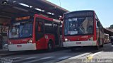 Express Transportes Urbanos Ltda 4 8848 na cidade de São Paulo, São Paulo, Brasil, por Asprilla Matheus. Número da foto: #4331951.