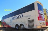 Hibisco Turismo 1000 na cidade de Caldas Novas, Goiás, Brasil, por Carlos Júnior. Número da foto: #4334858.