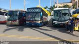 Brunatur 9009 na cidade de Aparecida, São Paulo, Brasil, por Igor Rosa Albino. Número da foto: #4333999.