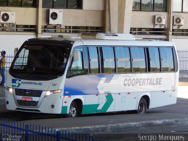 Coopertalse 137 na cidade de Aracaju, Sergipe, Brasil, por Sergio Marques . Número da foto: #4337400.