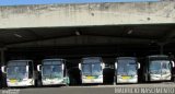 Empresa Gontijo de Transportes 12535 na cidade de Belo Horizonte, Minas Gerais, Brasil, por Maurício Nascimento. Número da foto: #4336194.