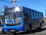 Ônibus Particulares TORINO 2014 na cidade de Caxias do Sul, Rio Grande do Sul, Brasil, por Marcio  Bruxel. Número da foto: #4339245.