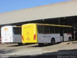 Viação Araguarina 3161 na cidade de Inhumas, Goiás, Brasil, por Nathanael de Jesus  Azevedo. Número da foto: #4341102.