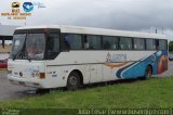 Marte Transportes 2950 na cidade de Esplanada, Bahia, Brasil, por Julio Cesar  Barbosa Martins. Número da foto: #:id.