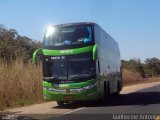 Pássaro Verde 12122 na cidade de Araguari, Minas Gerais, Brasil, por Guilherme Antonio. Número da foto: #4345559.