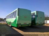 Pampulha Transportes > Plena Transportes EX. 07162 na cidade de Belo Horizonte, Minas Gerais, Brasil, por Weslley Silva. Número da foto: #:id.