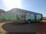 Pampulha Transportes > Plena Transportes EX. 07175 na cidade de Belo Horizonte, Minas Gerais, Brasil, por Weslley Silva. Número da foto: #:id.
