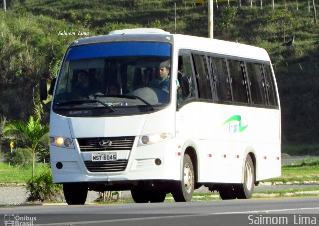 Prefeitura Municipal de Irupi 6045 na cidade de Viana, Espírito Santo, Brasil, por Saimom  Lima. ID da foto: 4347709.