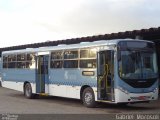 Transportes Santa Maria 602 na cidade de Pelotas, Rio Grande do Sul, Brasil, por Gabriel  Morosoli. Número da foto: #4353666.