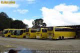 Viação Itapemirim 49017 na cidade de Messias, Alagoas, Brasil, por Julio Cesar  Barbosa Martins. Número da foto: #:id.