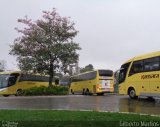 Kaissara - Viação Caiçara 15461 na cidade de Vitória, Espírito Santo, Brasil, por Gilberto Martins. Número da foto: #4357068.