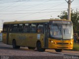Empresa de Transporte Coletivo Viamão 1015 na cidade de Alvorada, Rio Grande do Sul, Brasil, por Felipe Alves. Número da foto: #4356280.