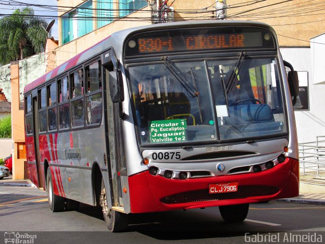 Auto Viação Urubupungá 00875 na cidade de Santana de Parnaíba, São Paulo, Brasil, por Gabriel Almeida. Número da foto: #4360414.