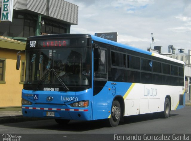 Lumaca 121 na cidade de Alto Alegre, Roraima, Brasil, por Fernando Gonzalez Garita. Número da foto: #4360669.