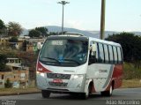 Rouxinol 445 na cidade de Belo Horizonte, Minas Gerais, Brasil, por Adão Raimundo Marcelino. Número da foto: #:id.