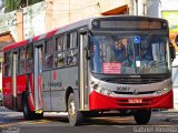 Auto Viação Urubupungá 00867 na cidade de Santana de Parnaíba, São Paulo, Brasil, por Gabriel Almeida. Número da foto: #4360458.