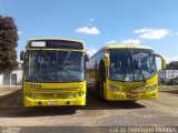 Transportes Coletivos Pérola do Oeste 9916 na cidade de Guarapuava, Paraná, Brasil, por Lucas Henrique Mendes. Número da foto: #4298283.