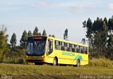 Viação Garcia 7605 na cidade de Apucarana, Paraná, Brasil, por Pedroka Ternoski. Número da foto: #4303634.