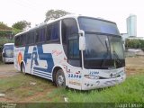 Falcão Real 22300 na cidade de Salvador, Bahia, Brasil, por Tiago Cleber. Número da foto: #:id.