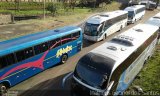 Expresso Cristália 226111 na cidade de Campinas, São Paulo, Brasil, por Matheus Gabriel dos Santos. Número da foto: #4309241.