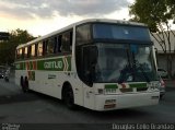 Empresa Gontijo de Transportes 11435 na cidade de Belo Horizonte, Minas Gerais, Brasil, por Douglas Célio Brandao. Número da foto: #4385264.