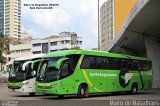 Setelagoano 11088 na cidade de Belo Horizonte, Minas Gerais, Brasil, por Mairo de Magalhães. Número da foto: #:id.