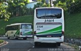 Viação Jauá 2320 na cidade de Salvador, Bahia, Brasil, por Mairan Santos. ID da foto: :id.