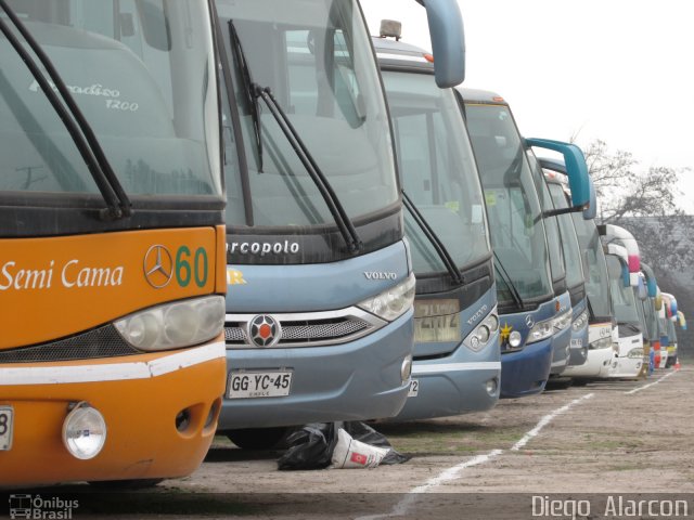 Ônibus Particulares  na cidade de , por Diego Alarcon. Número da foto: #4387896.