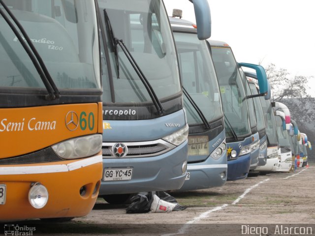 Ônibus Particulares  na cidade de , por Diego Alarcon. ID da foto: 4387896.