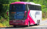 Hibisco Turismo 1000 na cidade de Rio Quente, Goiás, Brasil, por Carlos Júnior. Número da foto: #4389460.