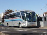 Ribe Transporte 1360 na cidade de Ribeirão Preto, São Paulo, Brasil, por Erwin  Luiz. Número da foto: #4388167.
