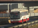 Giotur Transportes e Turismo 30654 na cidade de Anápolis, Goiás, Brasil, por Nathanael de Jesus  Azevedo. Número da foto: #4394055.
