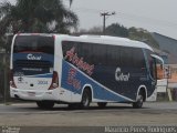 Citral Transporte e Turismo 3004 na cidade de Gravataí, Rio Grande do Sul, Brasil, por Mauricio Peres Rodrigues. Número da foto: #:id.