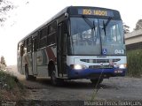 SOGIL - Sociedade de Ônibus Gigante Ltda. 043 na cidade de Gravataí, Rio Grande do Sul, Brasil, por Mauricio Peres Rodrigues. Número da foto: #:id.
