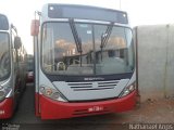 Giotur Transportes e Turismo 31288 na cidade de Anápolis, Goiás, Brasil, por Nathanael de Jesus  Azevedo. Número da foto: #4394057.