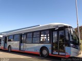 Auto Omnibus Floramar 02 na cidade de Belo Horizonte, Minas Gerais, Brasil, por Marcelo Ribeiro. Número da foto: #:id.