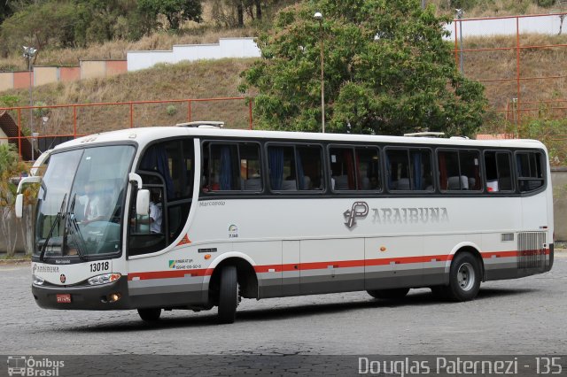 Paraibuna Transportes 13018 na cidade de Leopoldina, Minas Gerais, Brasil, por Douglas Paternezi. ID da foto: 4398014.